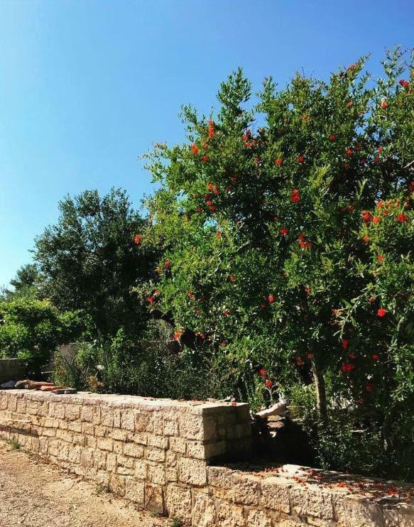 Appartamento Faros Oasis Gdinj Esterno foto