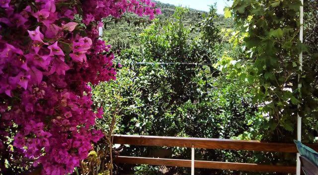 Appartamento Faros Oasis Gdinj Esterno foto